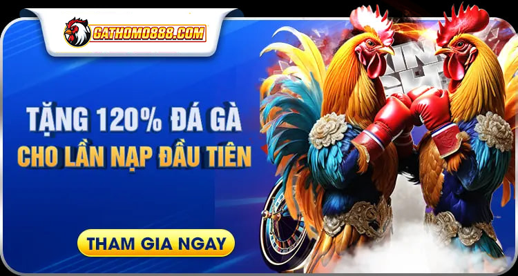 Khuyến Mãi GaThoMo888.Com: Cơ Hội Vàng – Nhận Ưu Đãi Khủng Ngay! 1 333 1