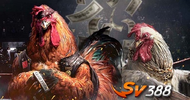 Sv388 la nha cai co nguon goc tu Campuchia